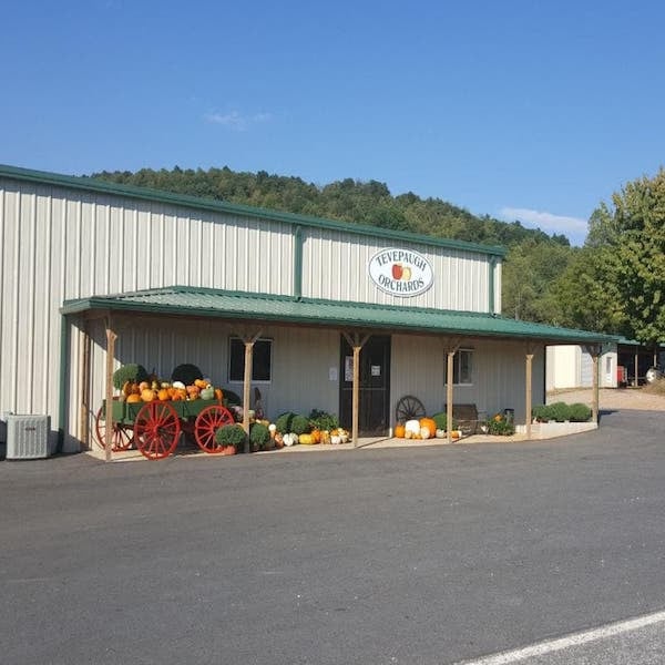 Tevepaugh Orchards 1